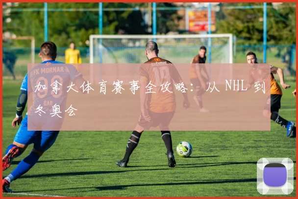 加拿大体育赛事全攻略:从 NHL 到冬奥会