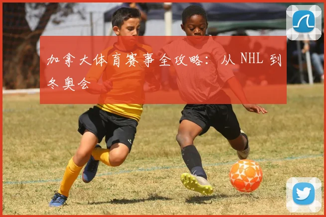 加拿大体育赛事全攻略:从 NHL 到冬奥会